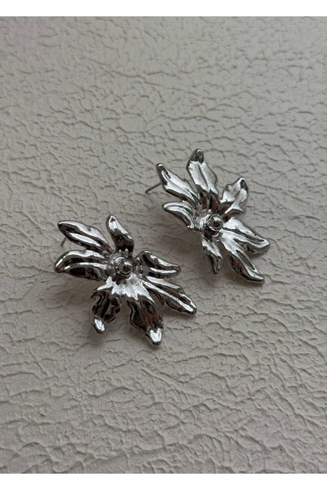 Heliophilia Silver Pendientes de Latón Plateados